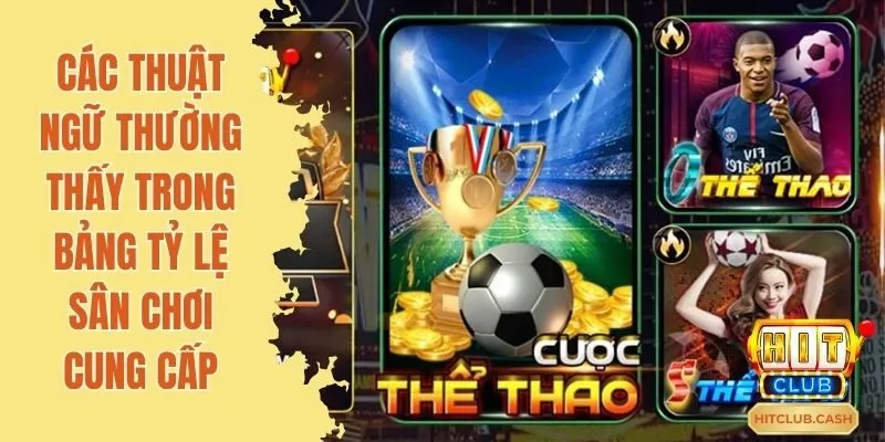 Các thuật ngữ thường thấy trong bảng tỷ lệ sân chơi cung cấp